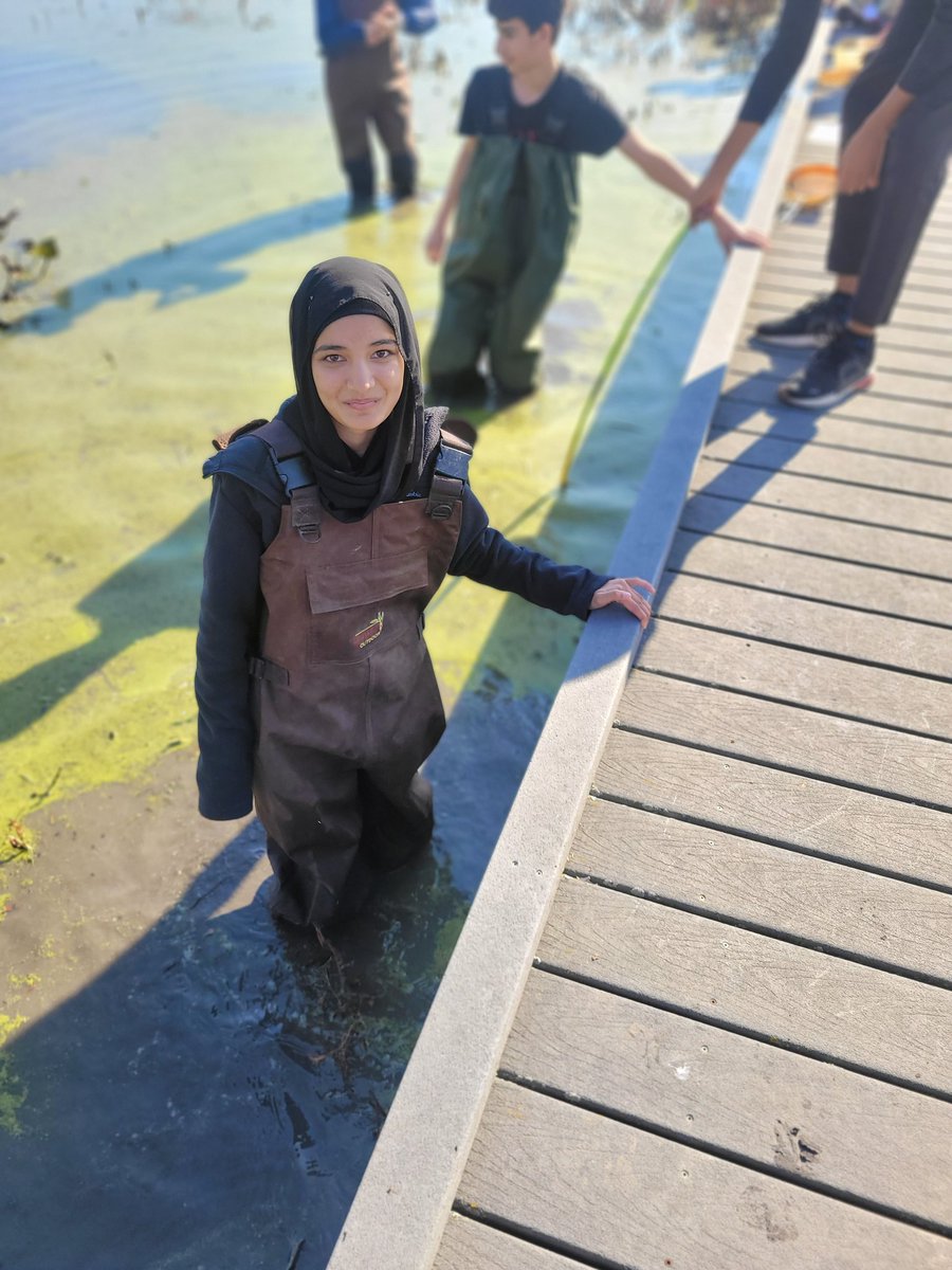 Hillman Marsh Excursion! Beautiful day to wade in the marsh! Lots of insects and plant life seen! 🐸🦞🐛🐌🕷🌱🦠🌿 <a href="/gecdsbpro/">GECDSB PR</a> <a href="/GlenwoodGriffin/">Glenwood Griffins</a> <a href="/teach_terri/">Terri Barrette</a>