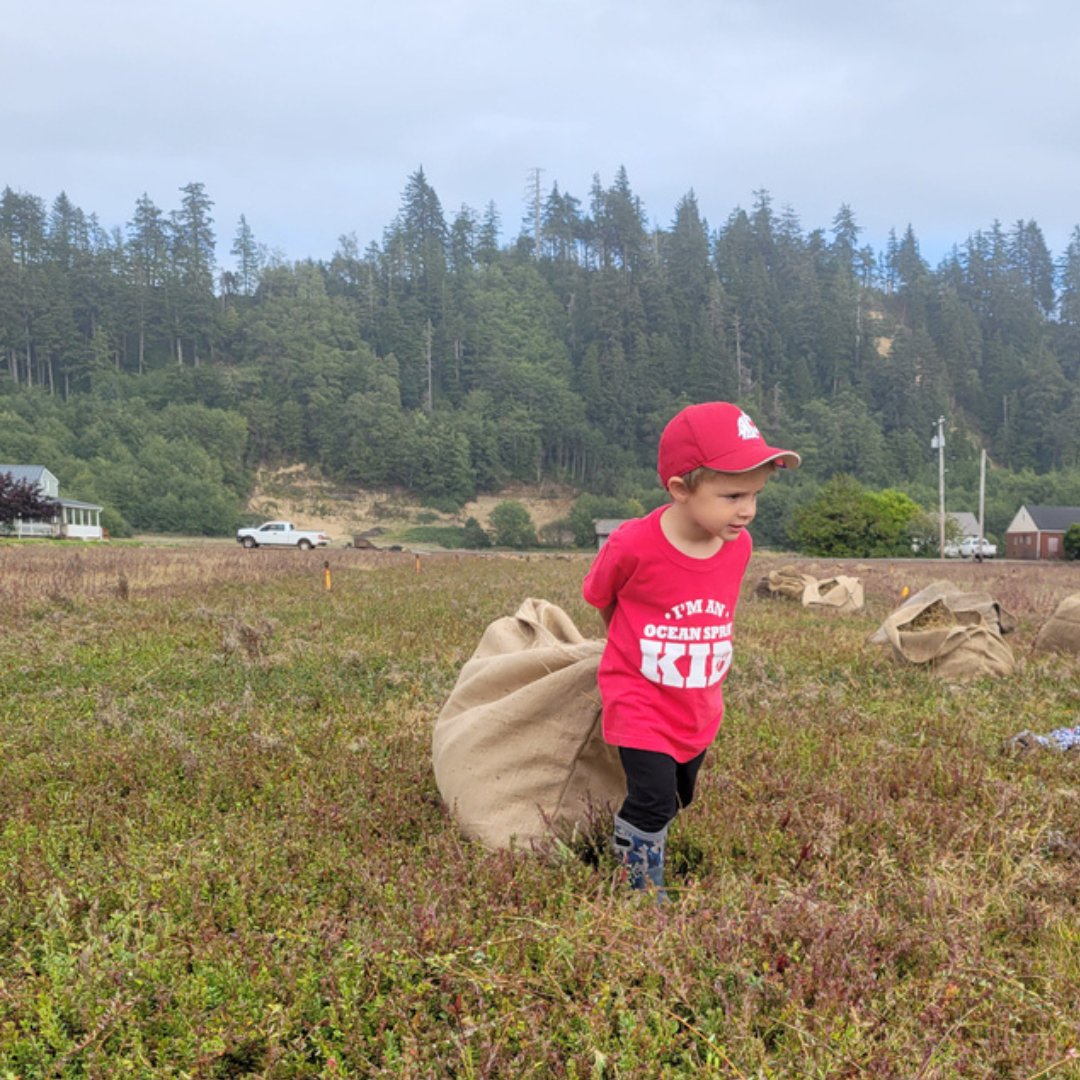 Cranberry Institute tweet media