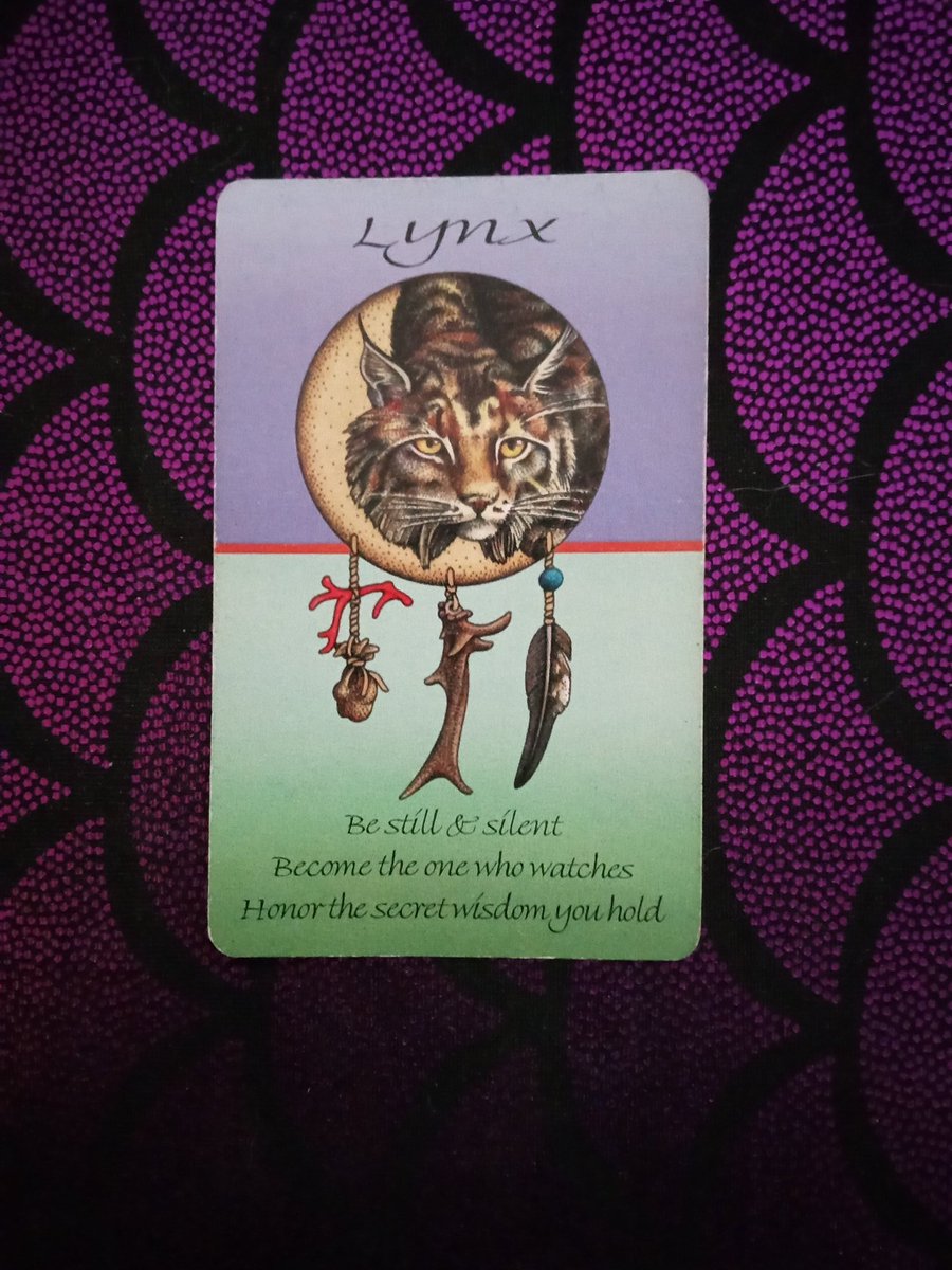 Animal Spirit card for today, October 24, 2023 is LYNX...Be still & silent • Become the one who watches • Honor the secret wisdom you hold

#wicca #witchcraft #witchtwt  #witchesoftwitter #occult  #magic #witches #pagan #spellwork #divination #dailydivination