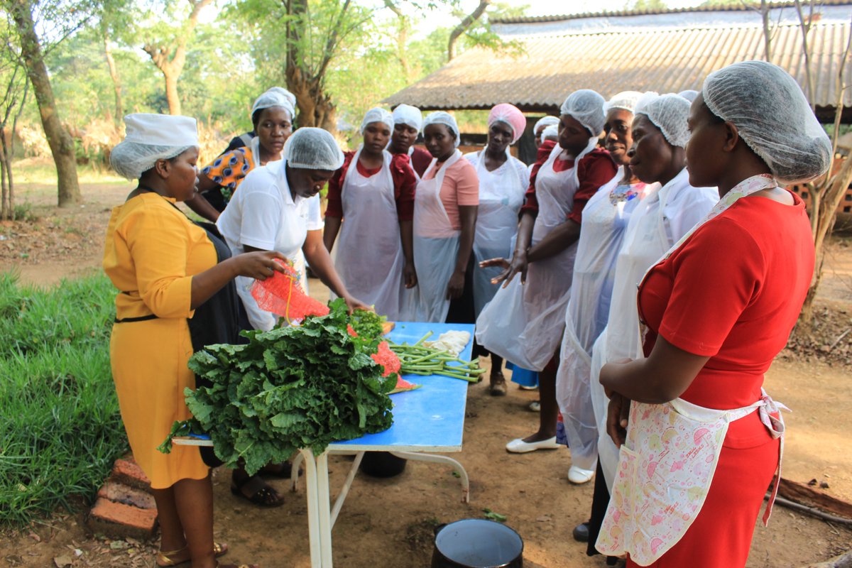 Fambidzanai Permaculture Centre ZWE tweet media