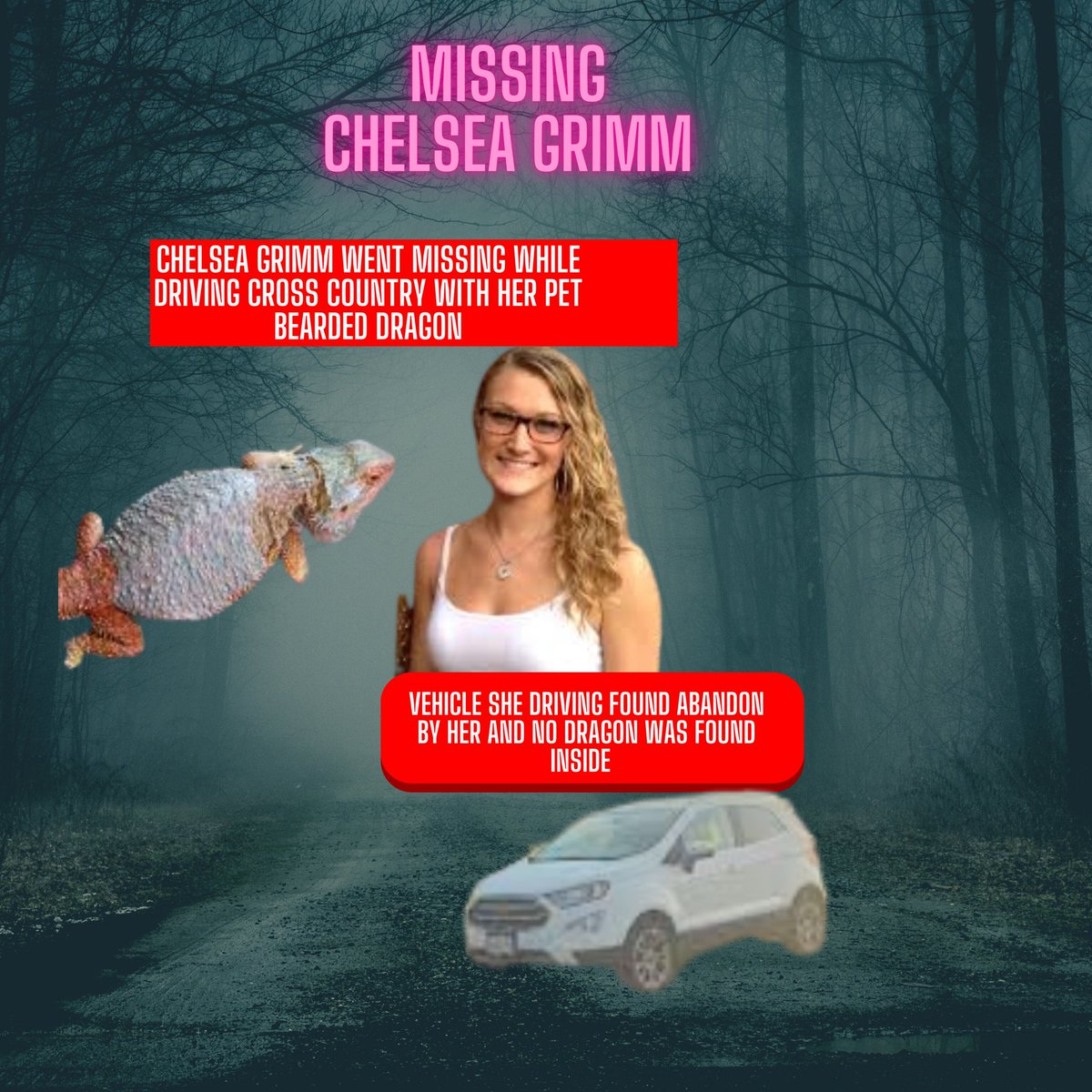 MemeNews74's tweet photo. "🚨 Help find Chelsea Grimm &amp; her bearded dragon! 🐉 

Missing during cross-country trip for a wedding 💒 

Car found abandoned. 
Watch interview with Brian Entin for more details. #MissingPerson #FindChelsea #chelseagrimm 

👇

https://t.co/tyVXuHv4K5 https://t.co/v5Kh9wCUkq