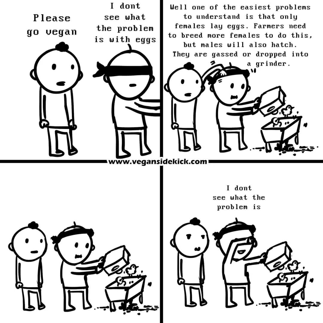 Vegan Sidekick (@vegansidekick) on Twitter photo 