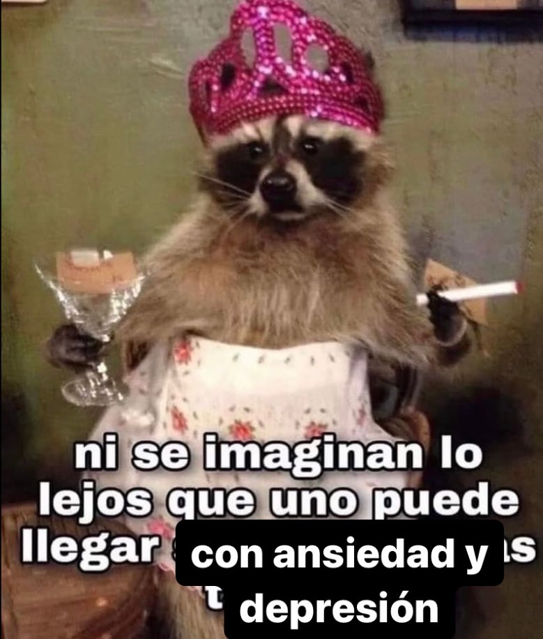 Princesachampi's tweet photo. Hice un meme que me representa https://t.co/NCtk2fKDBI