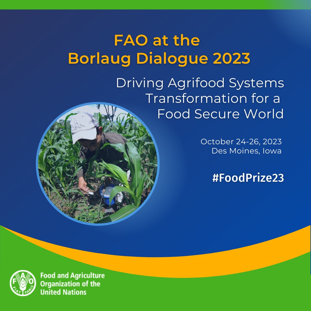 FAO in North America (@faonorthamerica) on Twitter photo <a href="/FAO/">Food and Agriculture Organization</a> is pleased to join the <a href="/WorldFoodPrize/">World Food Prize Foundation</a> Borlaug Dialogue in Des Moines this week !
We will promote <a href="/FAO/">Food and Agriculture Organization</a>'s work on #AgInnovation, #GenderEquality and the #4Betters to sustainably transform global agrifood systems.
👉 bit.ly/3KMg4CR
#FoodPrize23 <a href="/FAO/">Food and Agriculture Organization</a> is pleased to join the <a href="/WorldFoodPrize/">World Food Prize Foundation</a> Borlaug Dialogue in Des Moines this week !
We will promote <a href="/FAO/">Food and Agriculture Organization</a>'s work on #AgInnovation, #GenderEquality and the #4Betters to sustainably transform global agrifood systems.
👉 bit.ly/3KMg4CR
#FoodPrize23