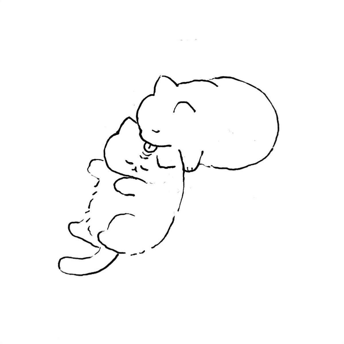 ねこ 