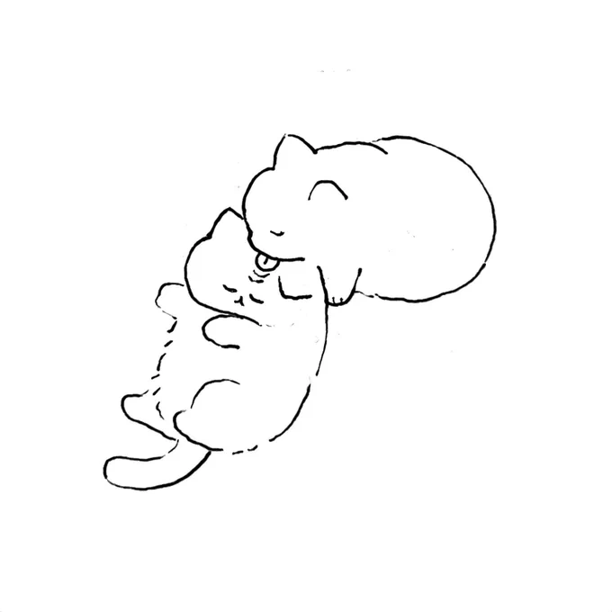ねこ 