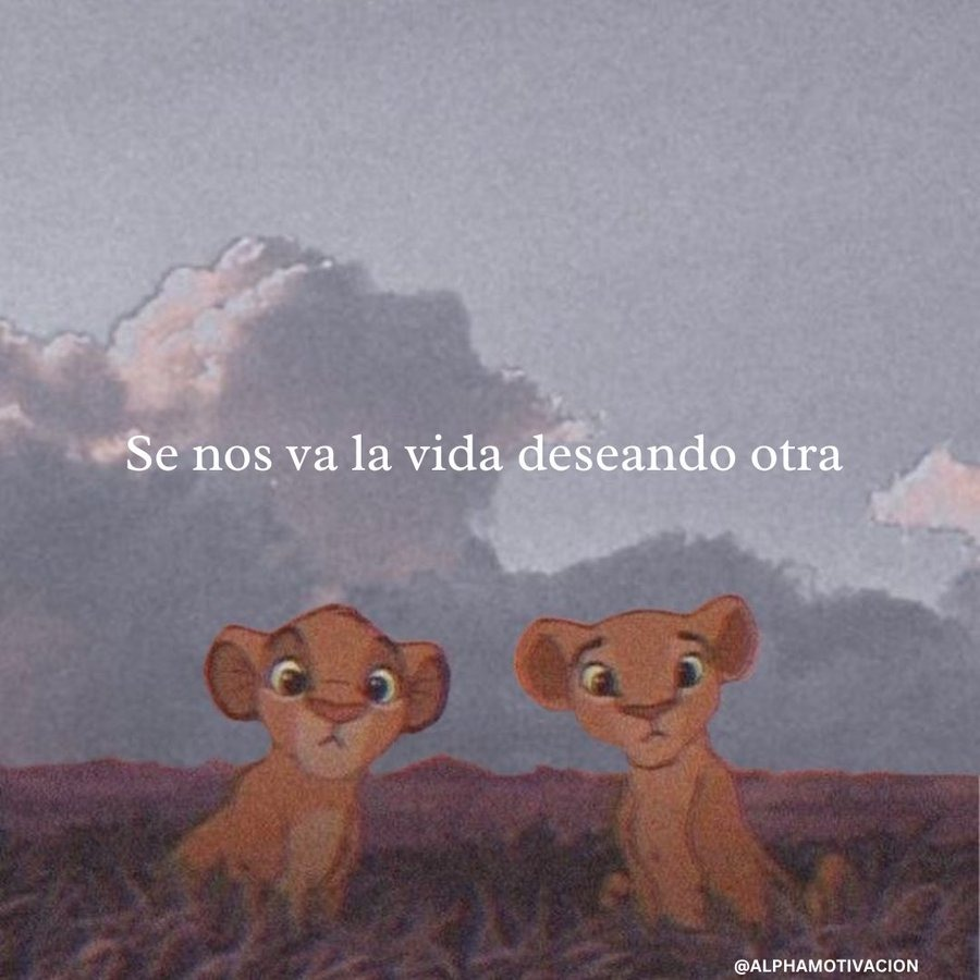 ALPHA MOTIVATION tweet media