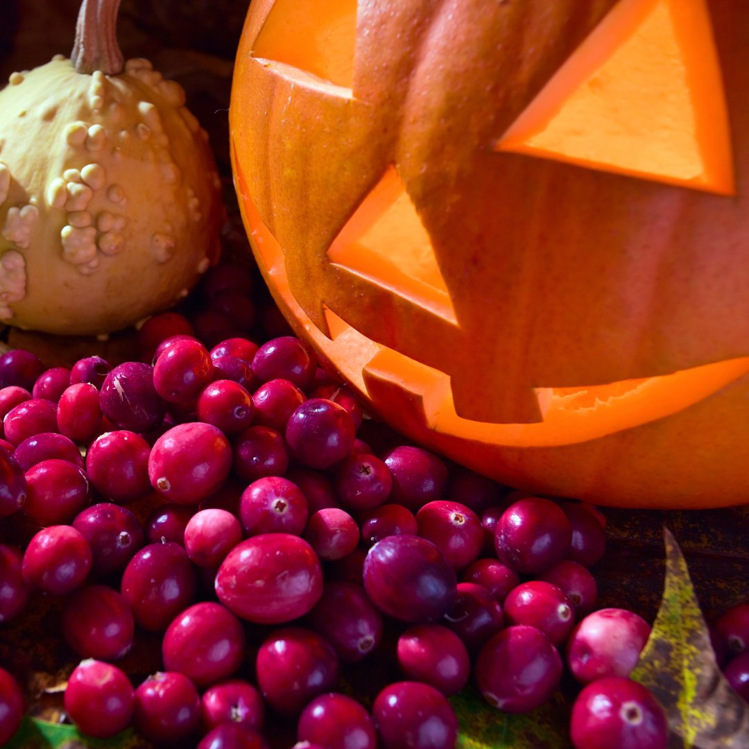 Cranberry Institute tweet media