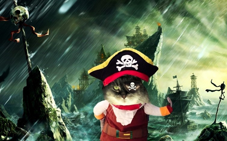 ampincivero's tweet photo. Timeline cleanser:
Ali says ARRRRR you still on Twitter?
Get off that thing & get some lunch!
#cats #CatsOfTwitter #Halloween #Aliween https://t.co/yIMhLZtYr8