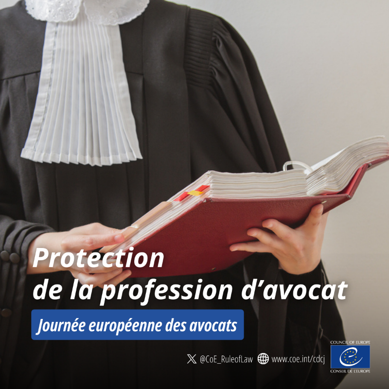 CoE_RuleofLaw's tweet photo. Les avocats jouent un rôle essentiel dans les systèmes judiciaires⚖️

Célébrons cette #Journéeeuropéennedesavocats en reconnaissant leur rôle dans la défense des #droitshumains et de l'#étatdedroit !

En savoir + sur le travail @coe_fr sur une nv. Convention pour leur protection