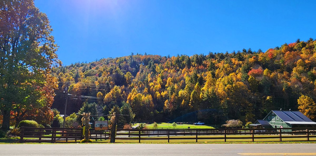 Missing those mountain views and fall vibrant colors today! #fall #boone #NorthCarolina