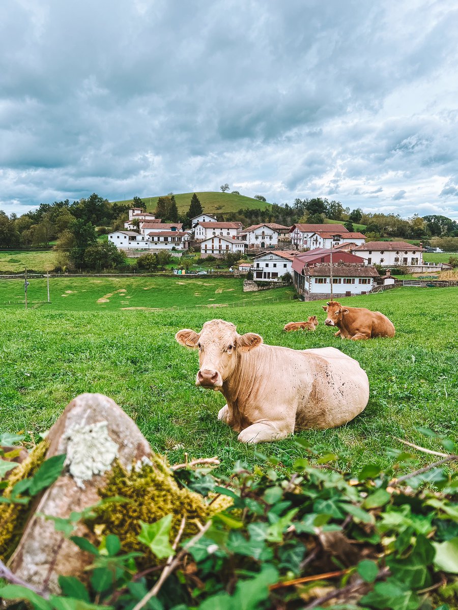 viajeros30's tweet photo. ¿Puede ser más idílico el Valle de Baztan? Yo digo que no ¡es imposible! ❤️💙💚

La 2️⃣ etapa de mi Camino Baztanés transcurre durante 15 kilómetros al 100% por este maravilloso valle pirenaico. 

@VisitNavarra #CaminoBaztanésNavarra https://t.co/BNi6LYVwOo