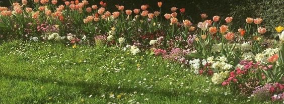 _minspace's tweet image. ⠀⠀⠀⠀⠀⠀ ୨୧⠀min’s space  . ⌒ ⠀⠀⠀
⠀⠀⠀⠀⠀⠀#mymymin — mails 💌
⠀⠀⠀⠀⠀⠀        est 10 | 2023