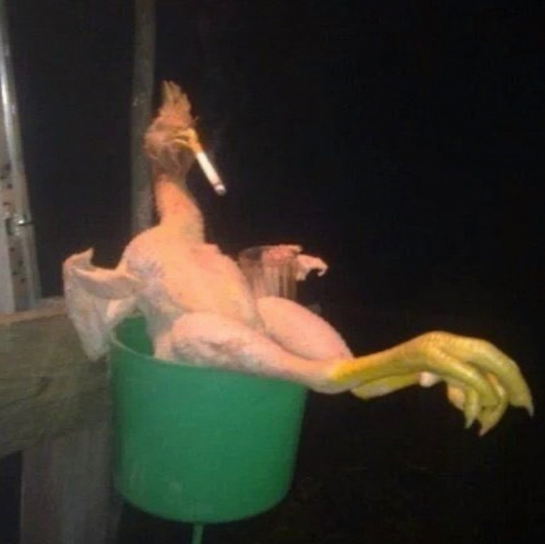 "bua tía a ver si te lo presento que te juro que tiene un rollazo que flipas"

el pibe en cuestión: