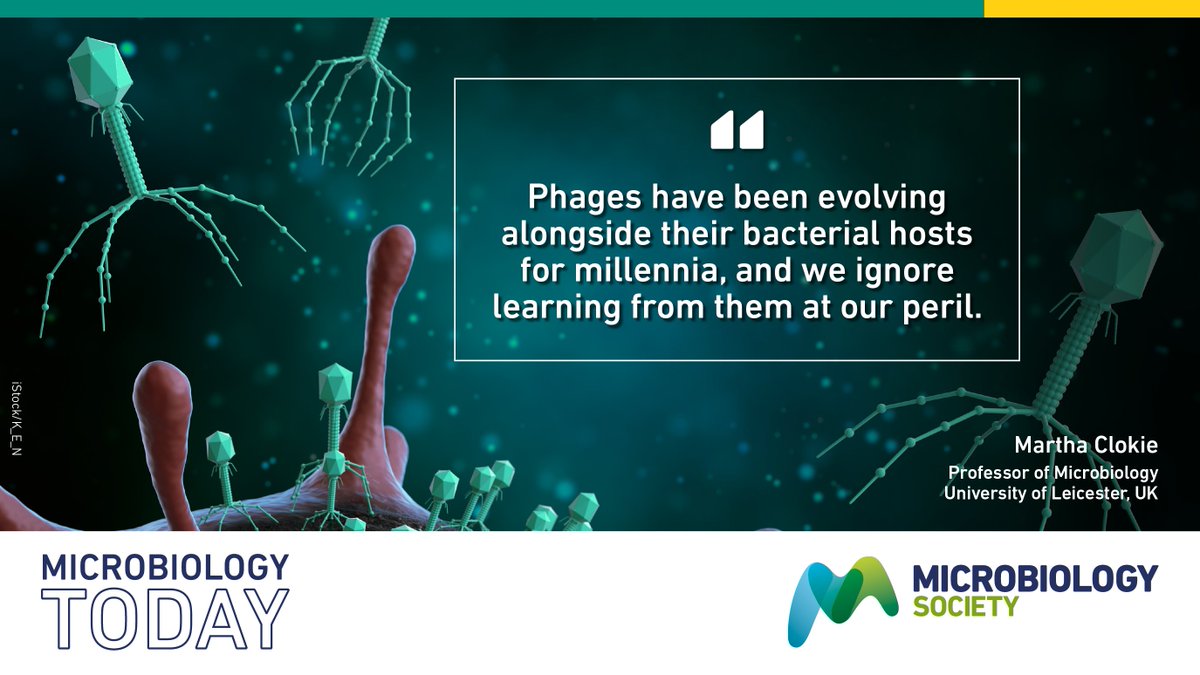 Microbiology Society tweet media