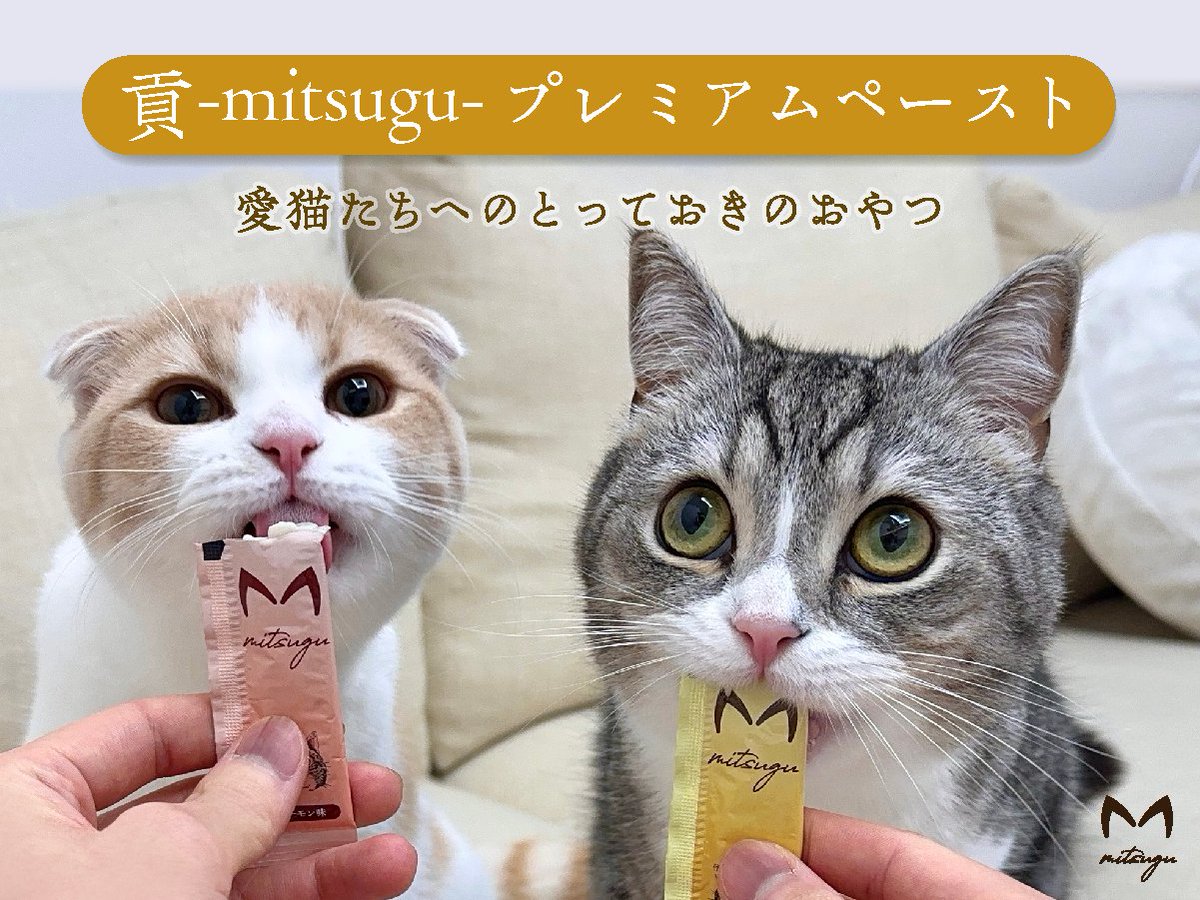 もちまる&はなまる (@catmotimaru) / X