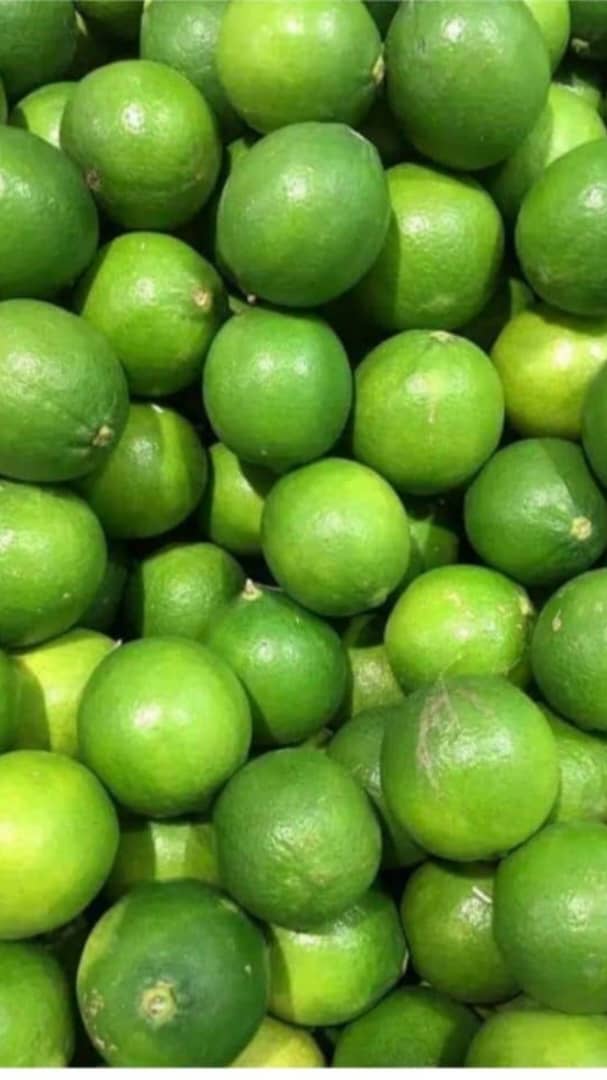 Mbissane55's tweet photo. Sama gars yi amna citron dhei
Variété: Lim Tahiti
Quantité disponible : 300kg
Prix /kg: 500f 
78 666 53 83
#beykat 
#farming 
#marché 
#citron https://t.co/OAzBbwazoG