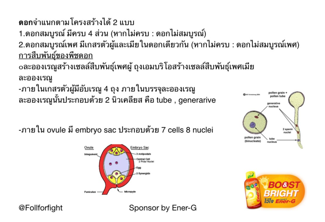 สรุปพืชม.ปลายแจกฟรี อ่านจบได้ใน 30 นาที😎
Download ไฟล์เต็มได้ที่
drive.google.com/file/d/1CR6iOH…

ครบ 300 รีทวิตจะทำวิชาอื่นๆแจกเพิ่มนะค้าบ 🙏🏻