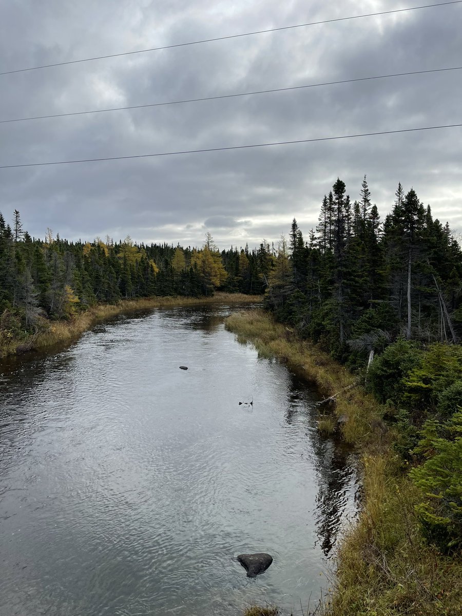 There are many issues, ranging from stream bank erosion / siltation to obstructions to passage, that affect fish habitat on our streams and rivers. 

We’ve used a drone to survey waterways in &amp; around Hare Bay on Great Northern Peninsula, as part of a project funded by <a href="/FCAS_FCSA/">FCAS-FCSA</a>