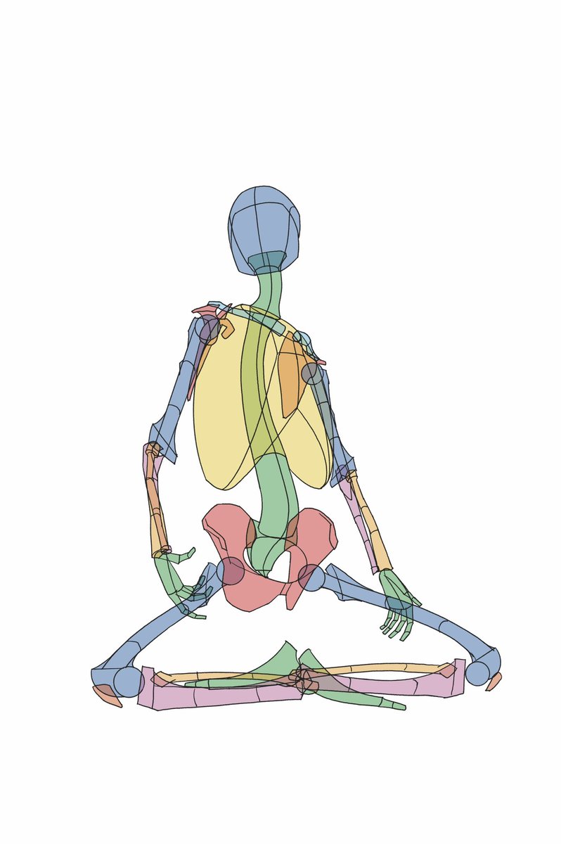 「」|伊豆の美術解剖学者のイラスト