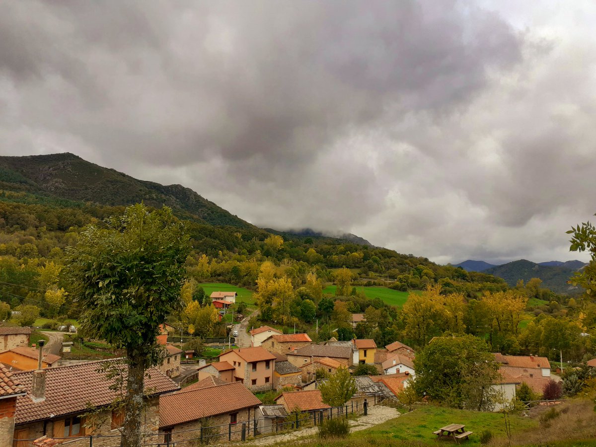 Luliirvalbu's tweet photo. O t o ñ o 🧡🍁🍂🐺🌧🌬
#Horcadas
#Leonesp ❤🦁 https://t.co/J33cOUZQUt