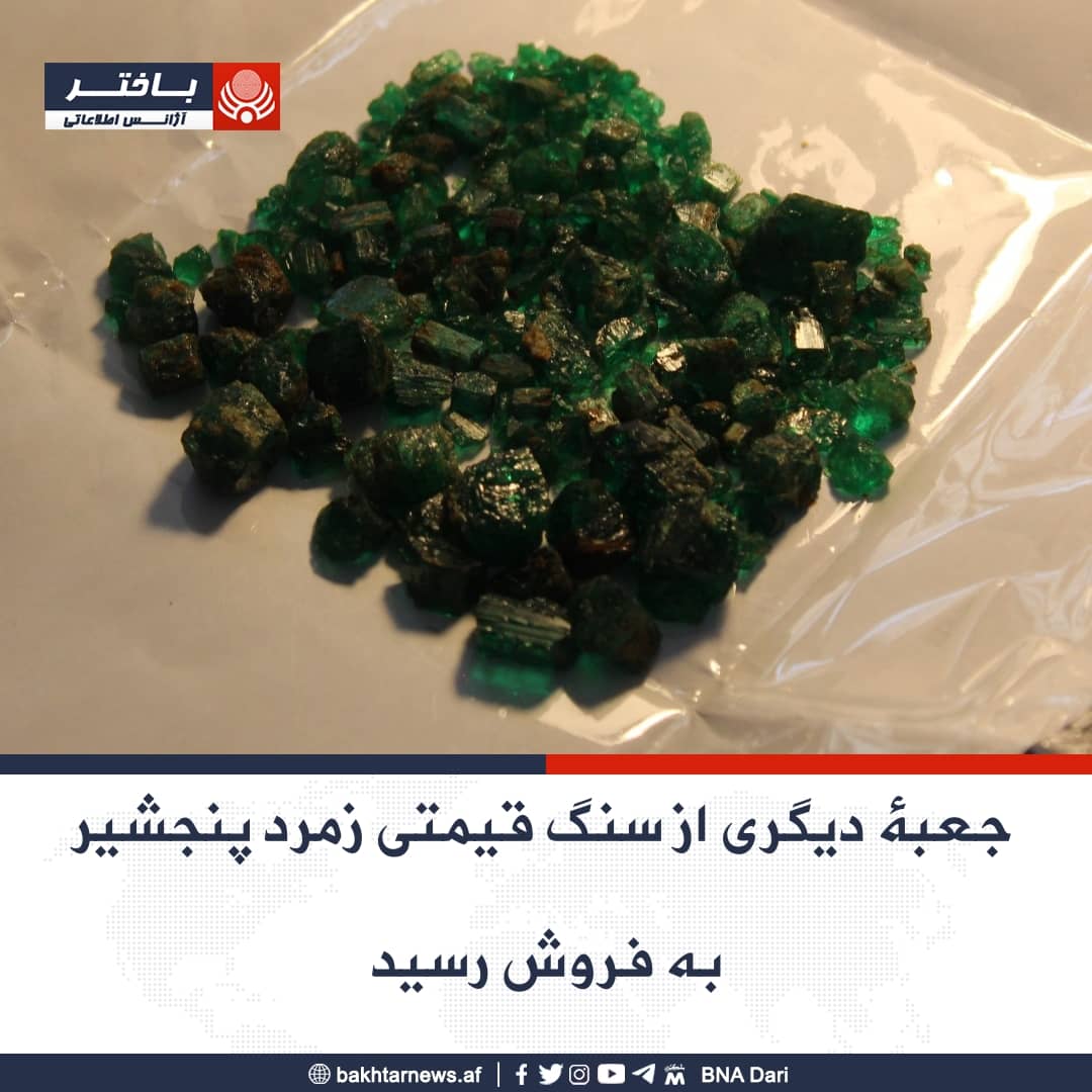 rahmanimoic1's tweet photo. به سلسله فروش محصول زمرد #پنجشیر این‌بار نیز یک جعبۀ دیگر این سنگ قیمتی از طریق مزایده به فروش رسید.
این جعبه به وزن مجموعی «۳۳۳۱.۷۵» قیراط که به تازگی از معدن زمرد پنجشیر استخراج شده‌ است به هزینه 827 هزار و 200 دالر به تجار ملی کشور فروخته شد. https://t.co/R4GrYt3qx2