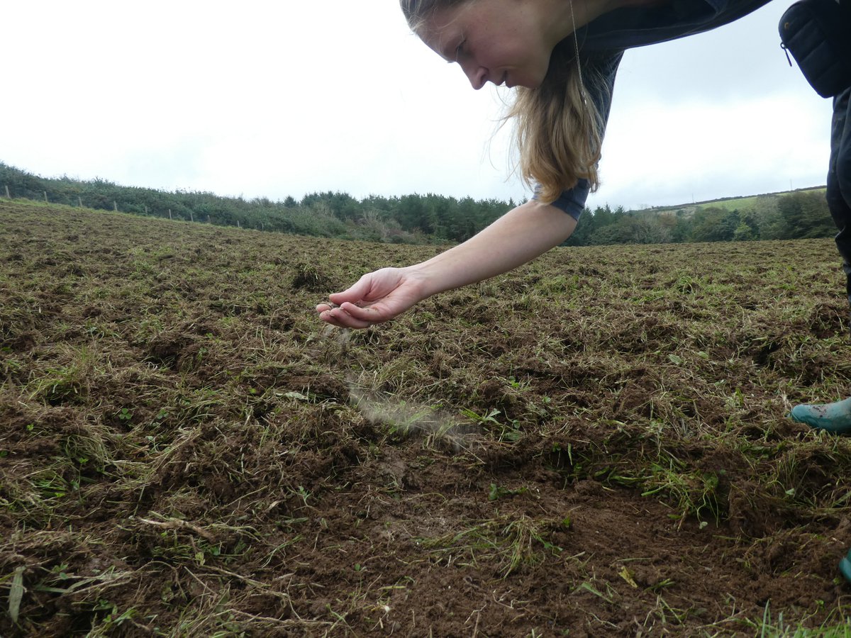 West Country Buzz tweet media