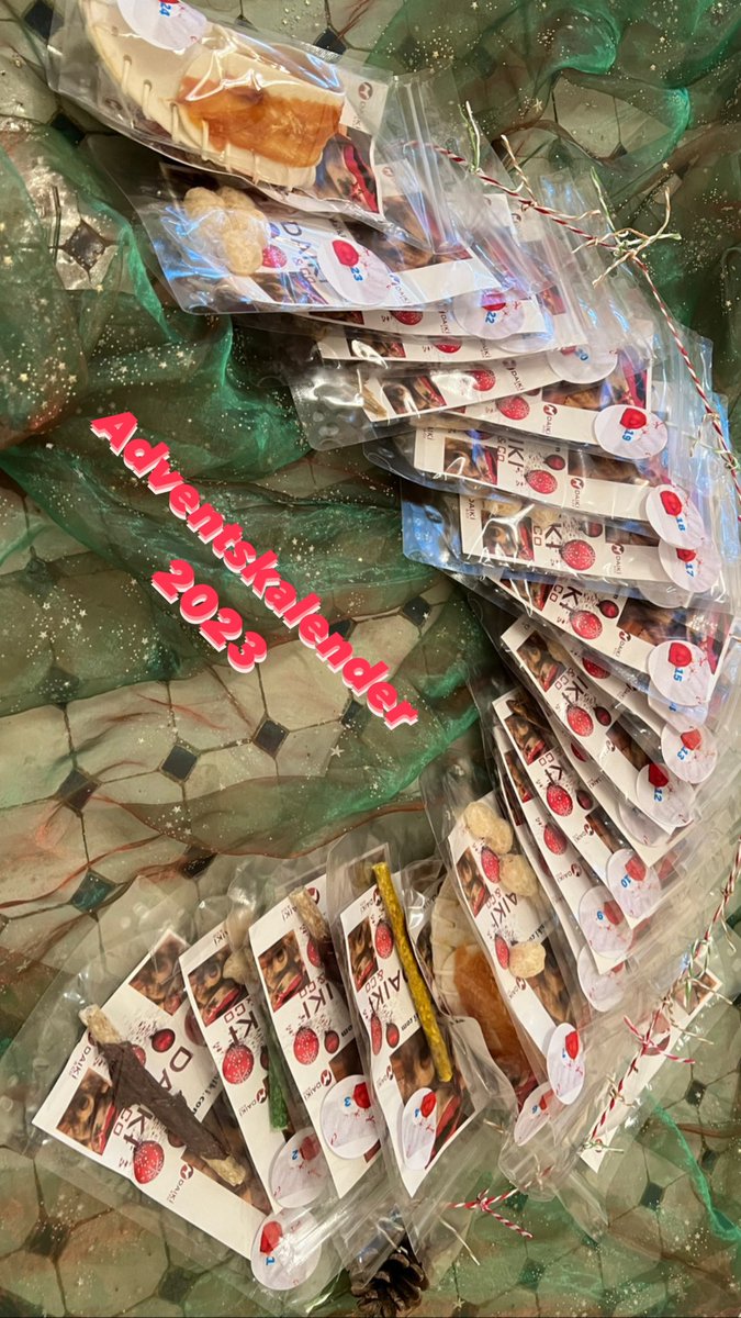 Jetzt in unserem Onlineshop 🎅🎅🎅#twitterrudel #hundeleckerchen
my-daiki.com