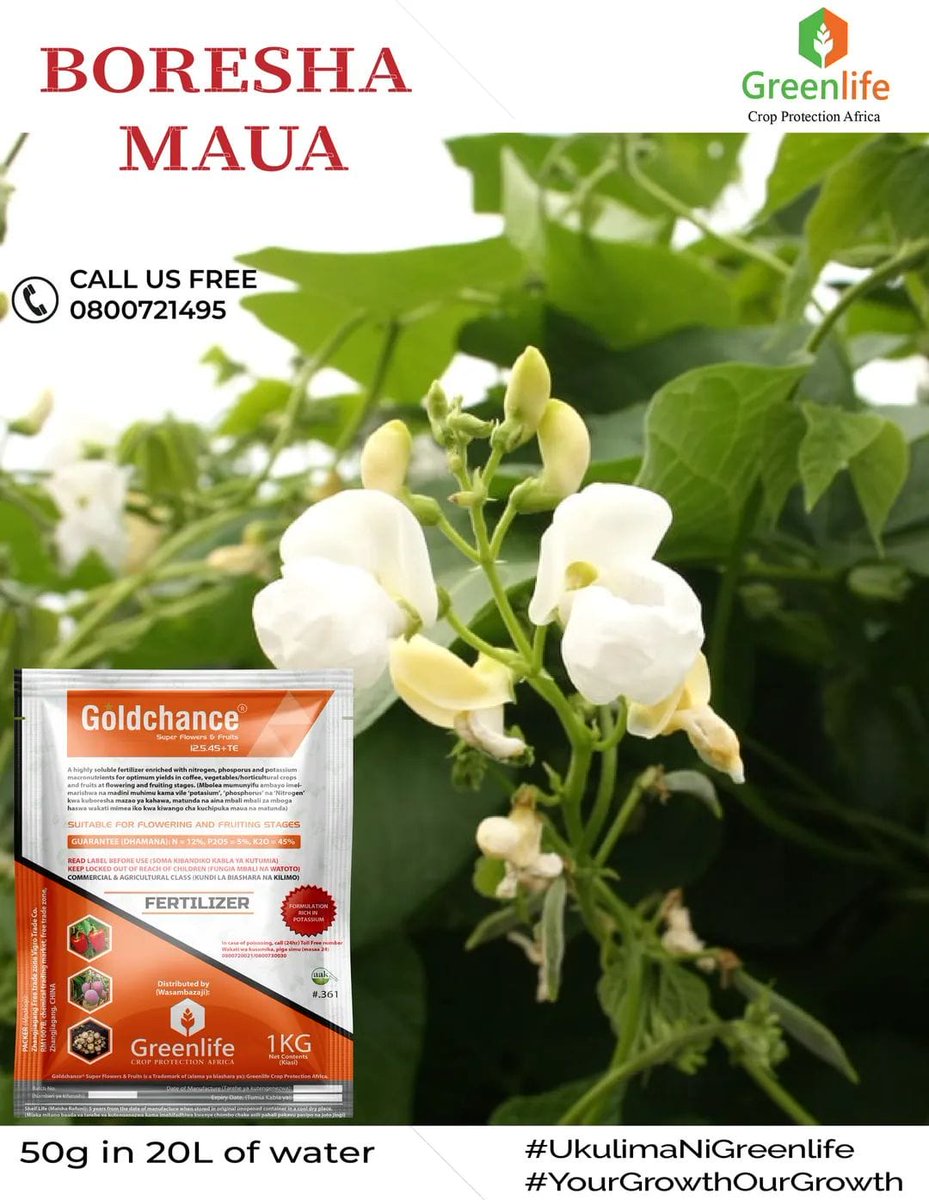 MAUA BORA MAZO BORA MAVUNO BORA ZAIDI Goldchance Flower and Fruit 50g in 20L of water. Place your order now, call us free 0800721495 #UkulimaNiGreenlife #YourGrowthOurGrowth
