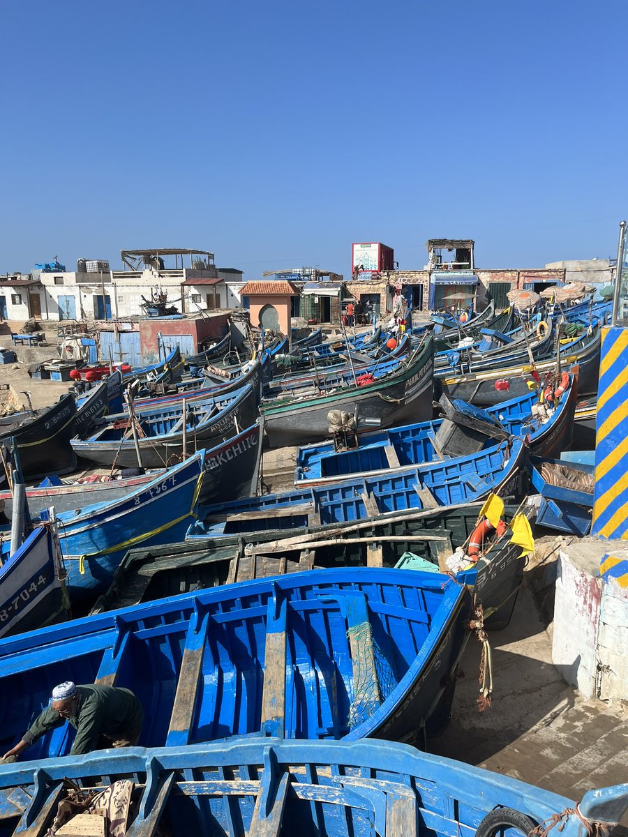 RodwellSam's tweet image. Maroc-tober 💙