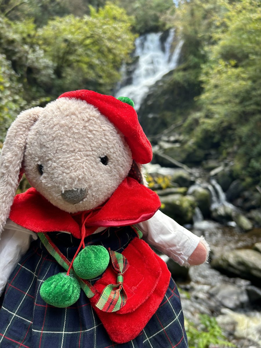 NecromanticVT's tweet photo. Todays adventure takes Bunny to Torc waterfall. It is lush and green and bloody cold lol. https://t.co/ve5CVCPljZ