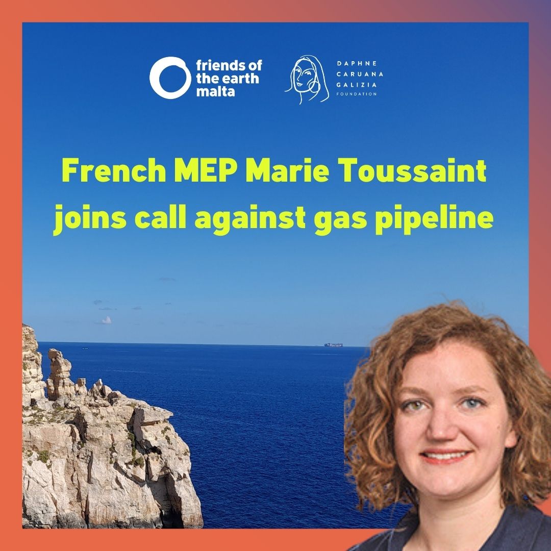 Daphne Caruana Galizia Foundation tweet media