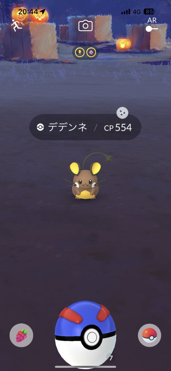 0814_yn's tweet photo. 本日2体目🤎💛

＃ポケモンGO #色違い https://t.co/AFGN4Qmtdz