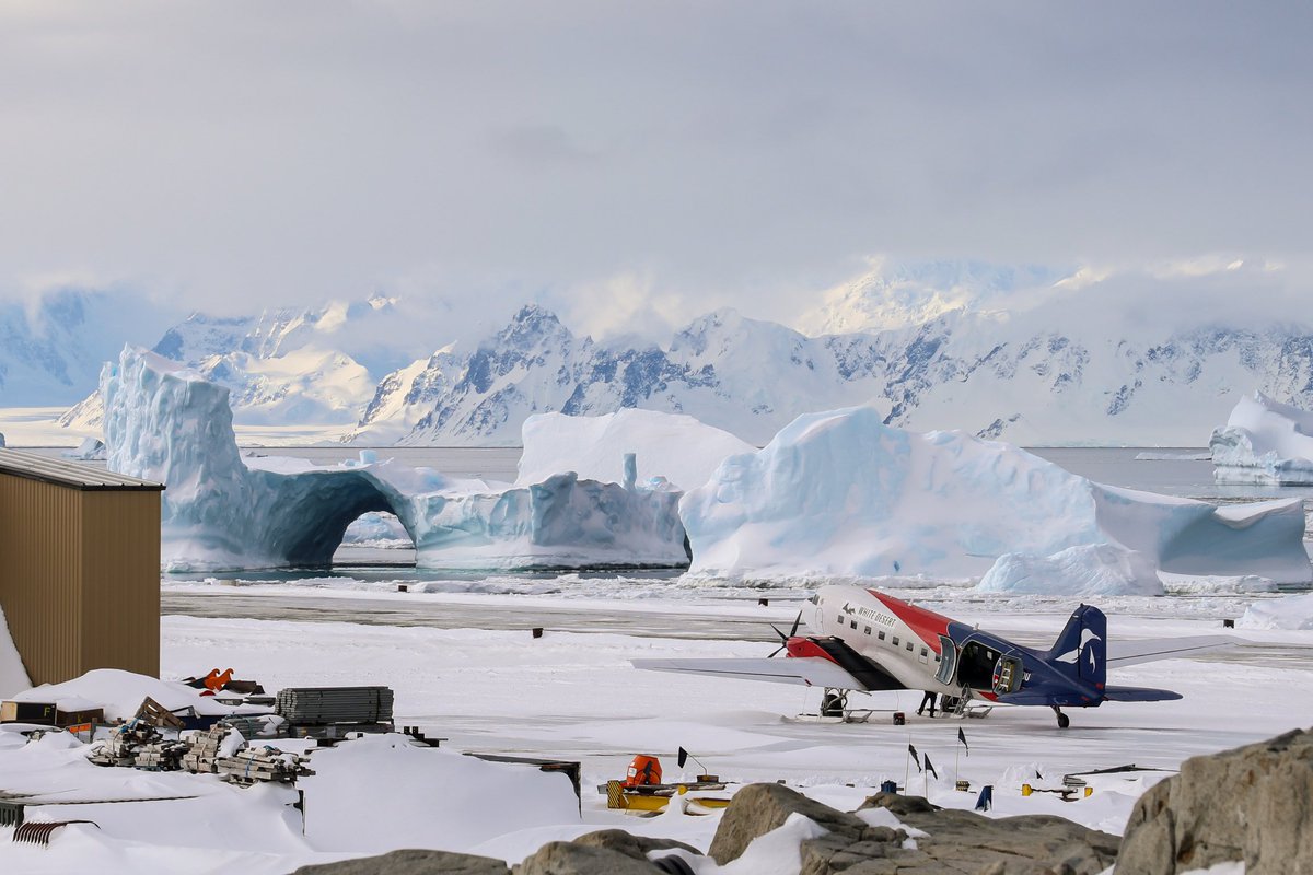 Matt Hughes tweet media