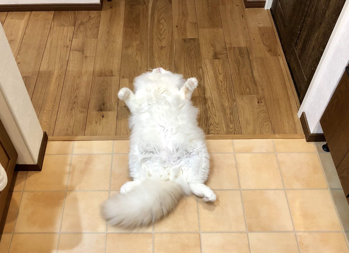 The result of ignoring the guy's requests.