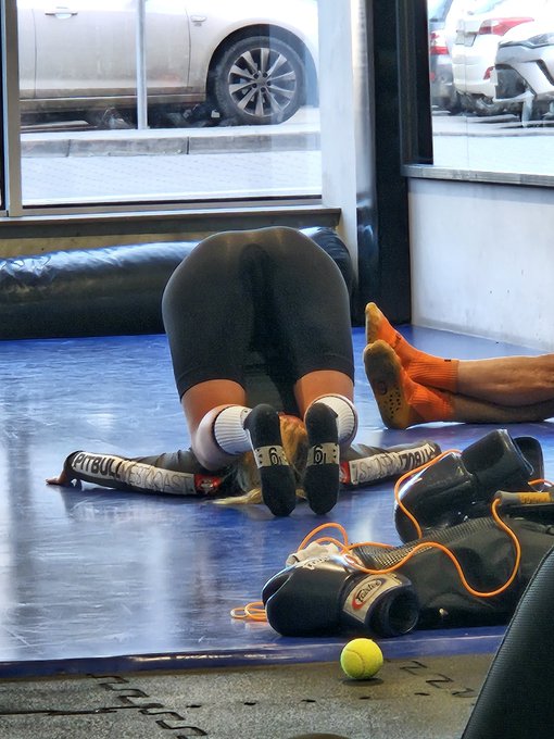 Muszę przyznać, że wiele rzeczy już umiałam wczesniej 🤣🤣🤣   Przypominam o nowej serii "do dupy z takim