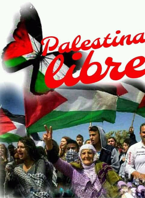 Hernando Nieto (@hnando31) on Twitter photo 