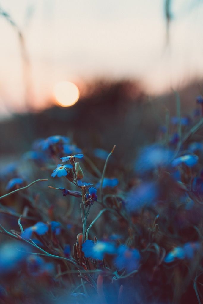 마음이 거칠면
말이 거칠고

마음이 부드러우면
말이 부드럽습니다

마음이 악하면
행동이 악하고

마음이 선하면
행동이 선합니다

밖으로 표출 되는건
다 마음이 들어나는 일입니다. 🖌

-털어봐 아프지않은 사람있나-
예약판매중
