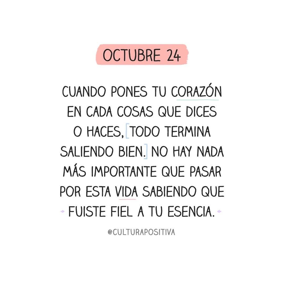 cultura_positiv's tweet photo. https://t.co/cHl8DPOufI