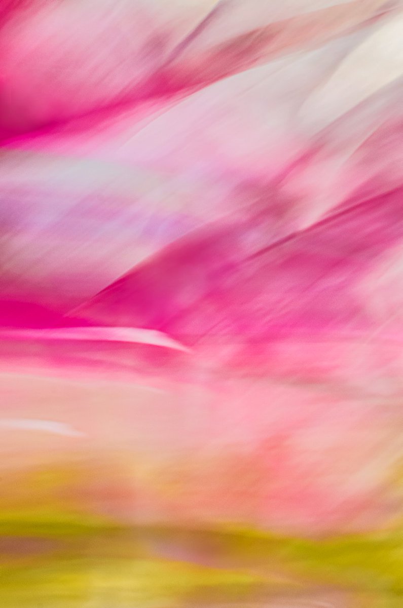 GM gm folks! ✌️☕️
Are you ready to have an amazing day? 🧡😉

_
SUMMER SKY