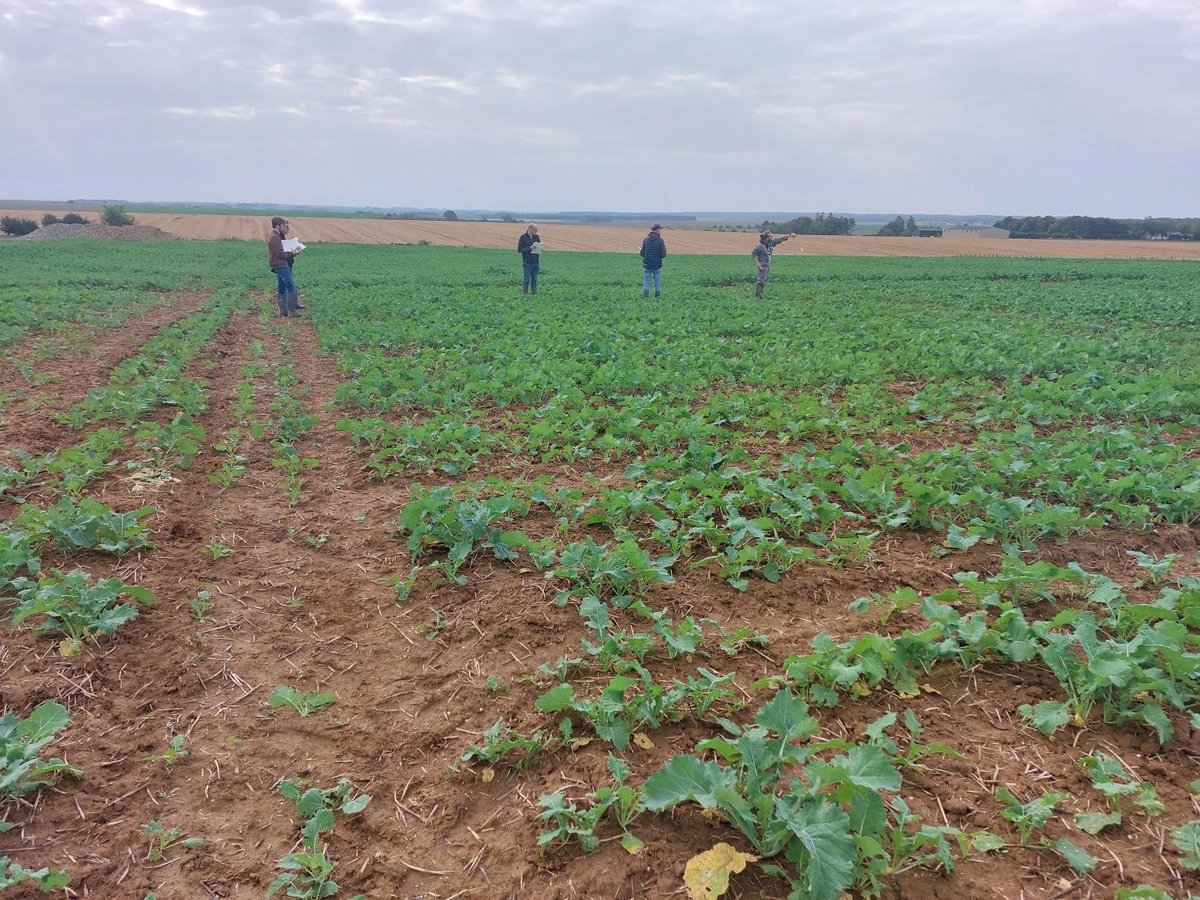 Semences de France tweet media