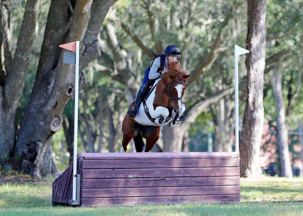 WallaceEventing's tweet photo. #WyeththeMustang showing his hops over a training table. 😍
Wyeth aka Wy pony is a 14.1 Mustang from the Green Mountain HMA. Named for the painter, Andrew Wyeth, I’ve had him since 2019 when I got him for a Tip challenge. He had a broken jaw and tooth and so he ended up hav… https://t.co/TqJpbm1nMs