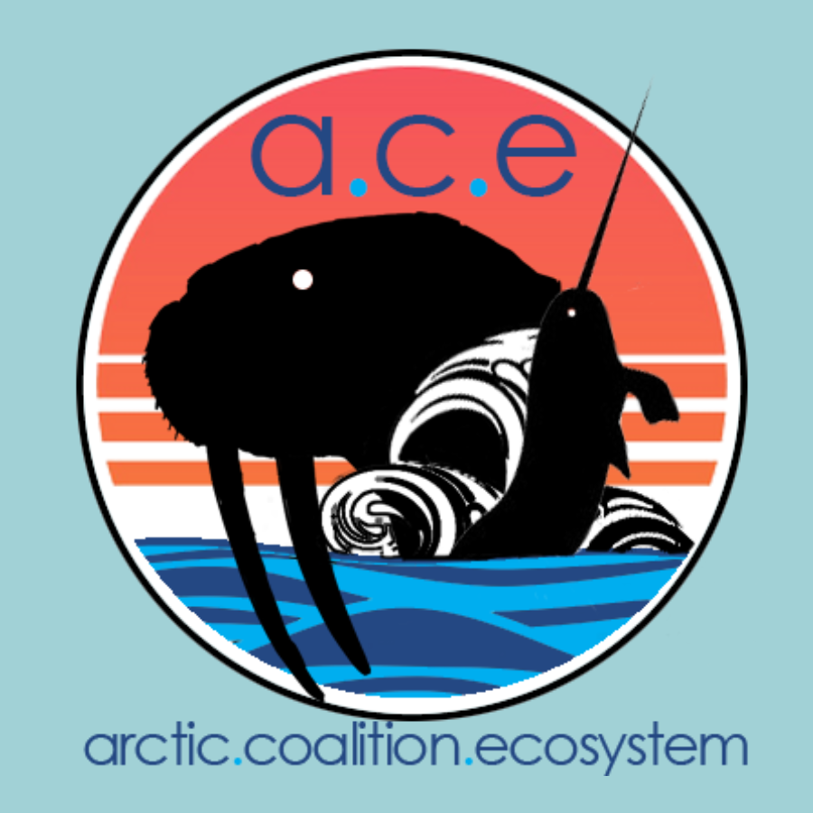 oceanracinggame's tweet photo. 🏁 Last day to register for this week's races!

With some epic TOTW &amp; Weather spins, it is certainly the week of the Walrus!

👀 Will the A.C.E Faction take the podium?

#oceanracingleague #nftracing https://t.co/zM9Xrtoi9J