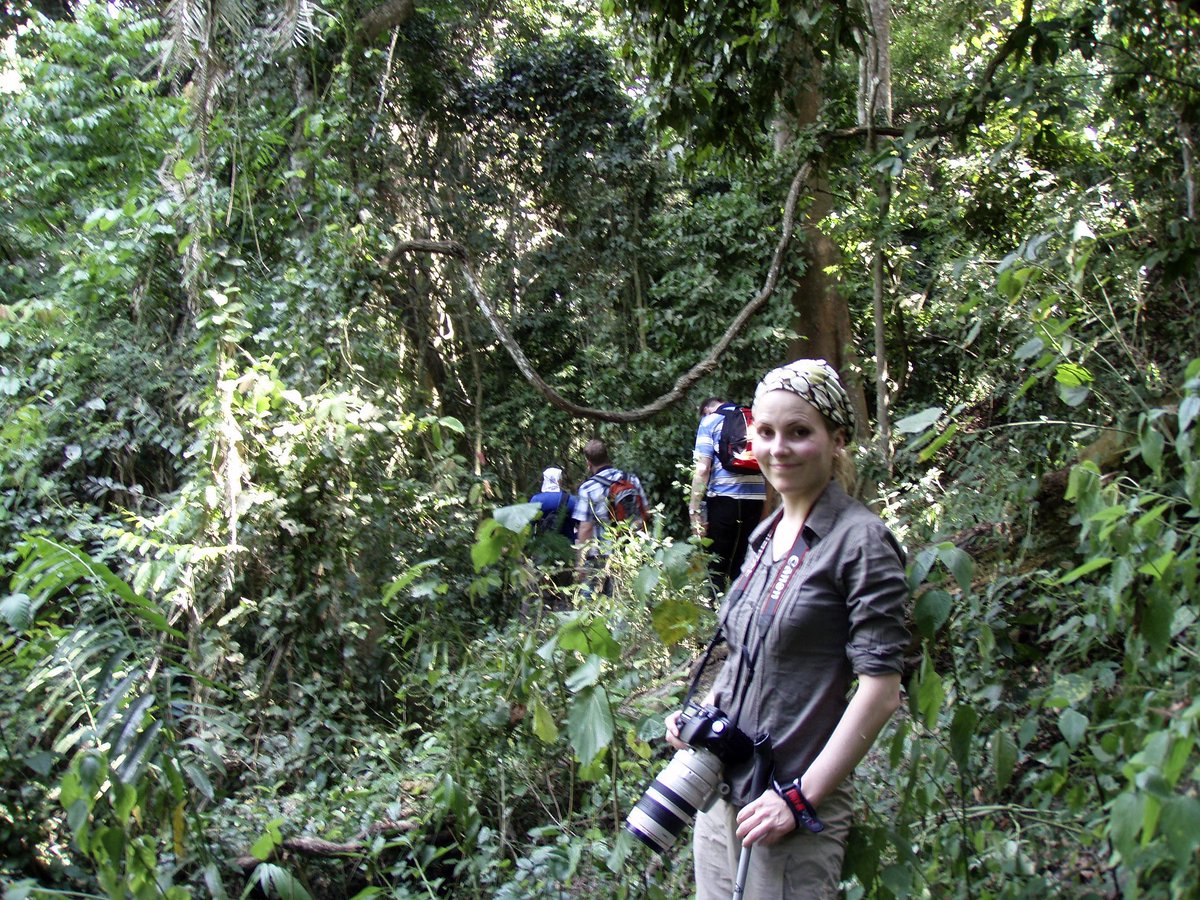 ebstours123's tweet photo. Nestled deep within the bosom of Uganda, a land renowned for its scenic splendors, there exists a hidden jewel, a revelation of nature’s exquisite craftsmanship - Kyambura Gorge. 

#safari #tours #chimpanzee https://t.co/hAV0KBz094