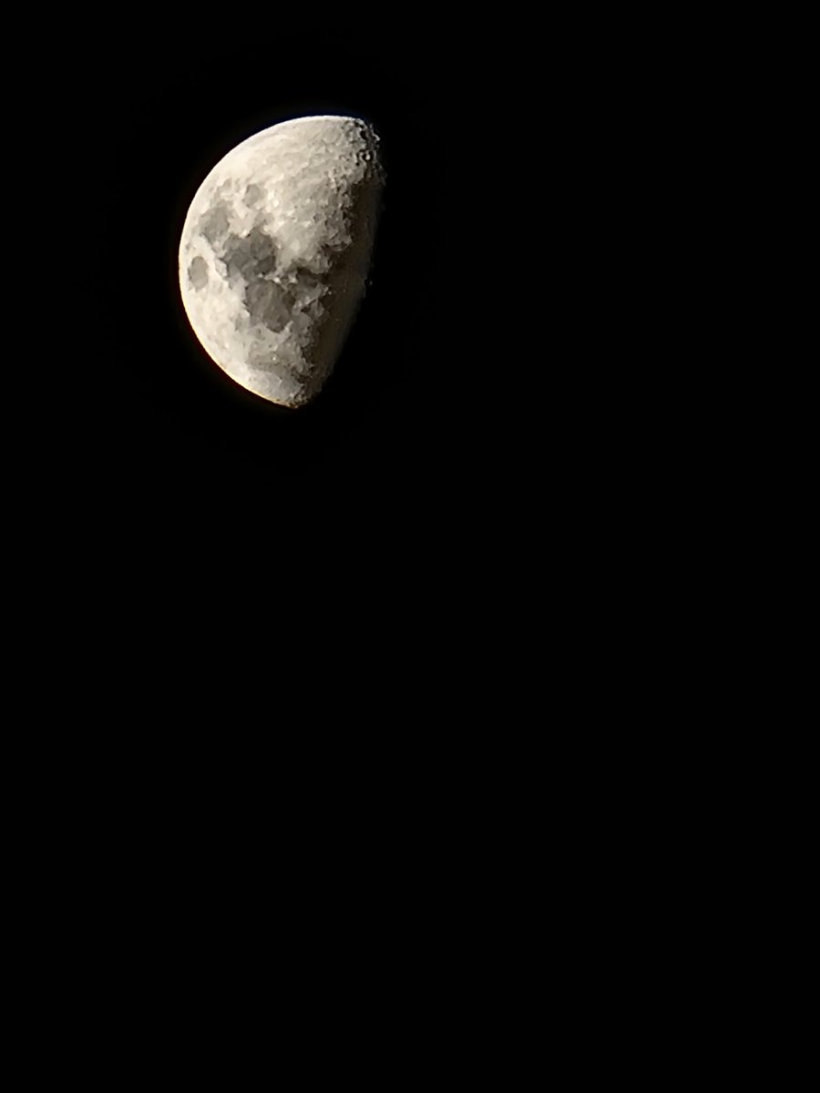 JamforMoney's tweet photo. Posting a picture of the moon every night night #28

#moon  #moonpics #moontonight
#moon #moonlight #love #night #photography #nature #luna #sky #art #stars #fullmoon #space #sun #photooftheday #nasa #moonphotography #instagood #nightsky #aliens #astronomy #moonlover https://t.co/lgECuMVjvl
