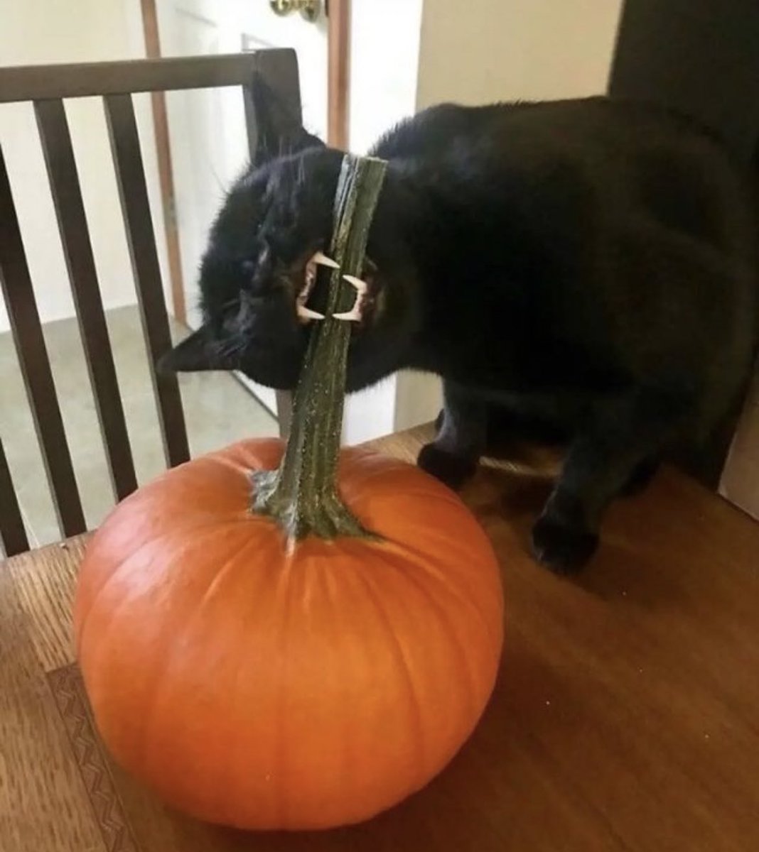 he’s helping