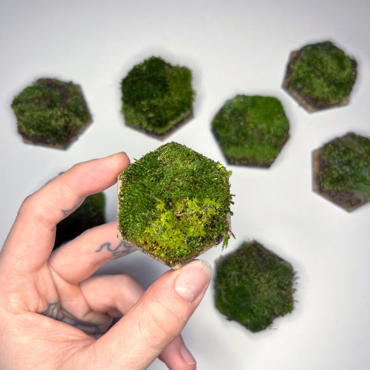 materialdistrct's tweet photo. What not to miss at Dutch Design Week part 4 https://t.co/hJR2WuXUbx
#dutchdesignweek #dutchdesignweek2023 #ddw #bioinnovations #bioinnovationcenter #miriamsanders #WasatchDesignCollective #growablegraphics #materialdistrict https://t.co/AIDXY89smH