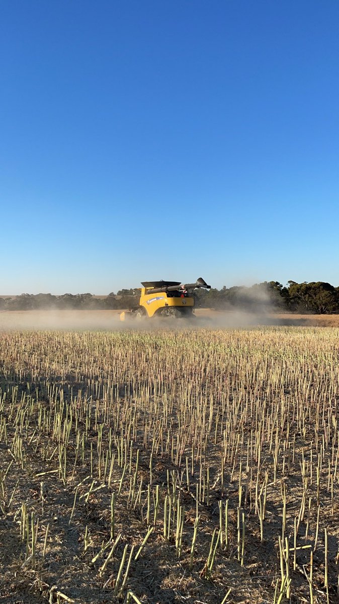 Kickin Harvest 2023 in the guts🤙🤙