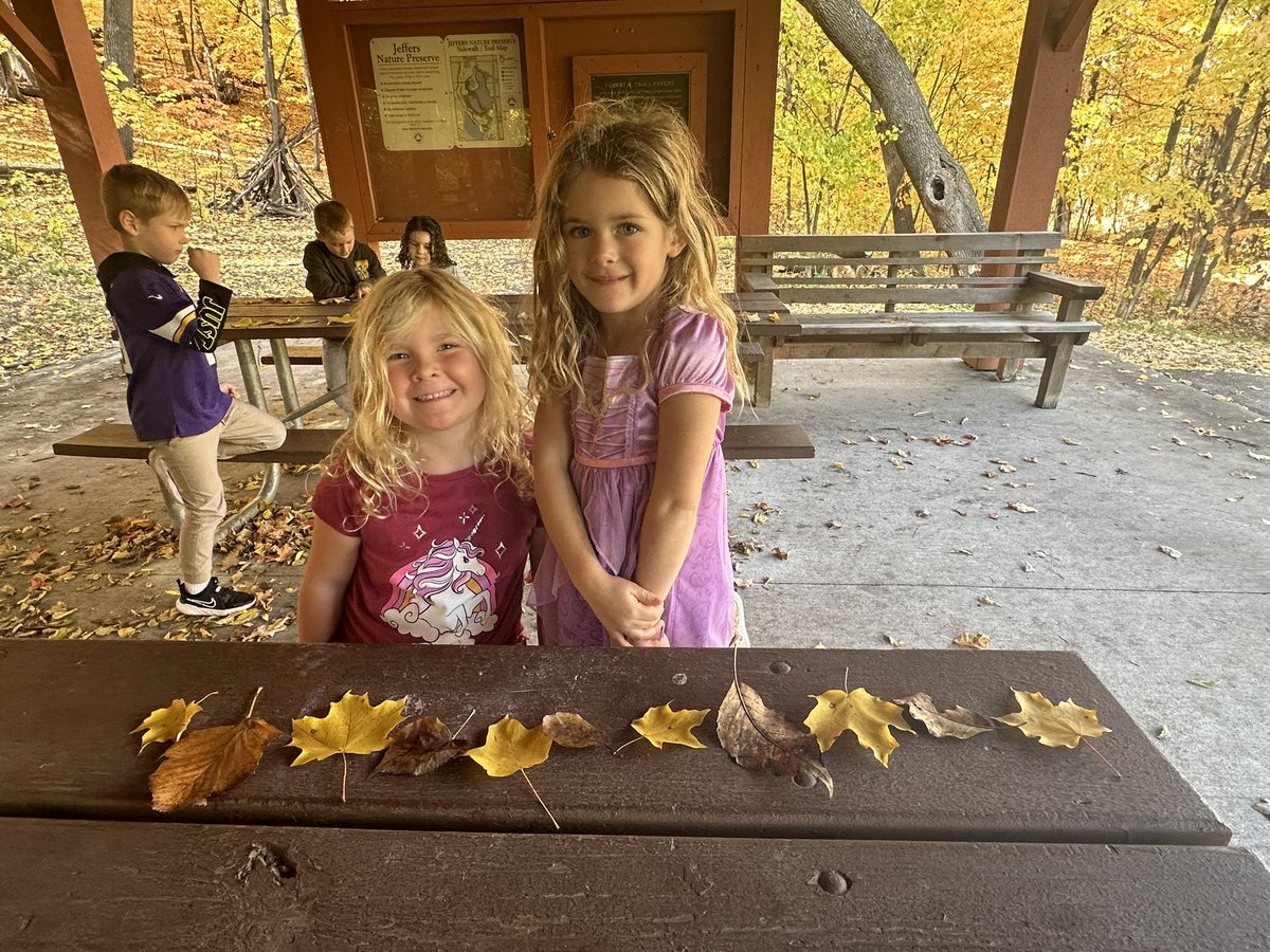 mschultzPLS's tweet photo. Leaf patterns were a perfect way to recognize characteristics of different leaves and extend our math lesson🍃🍁 @JeffersPondPLS @isd719 https://t.co/P0ydgBMaJx