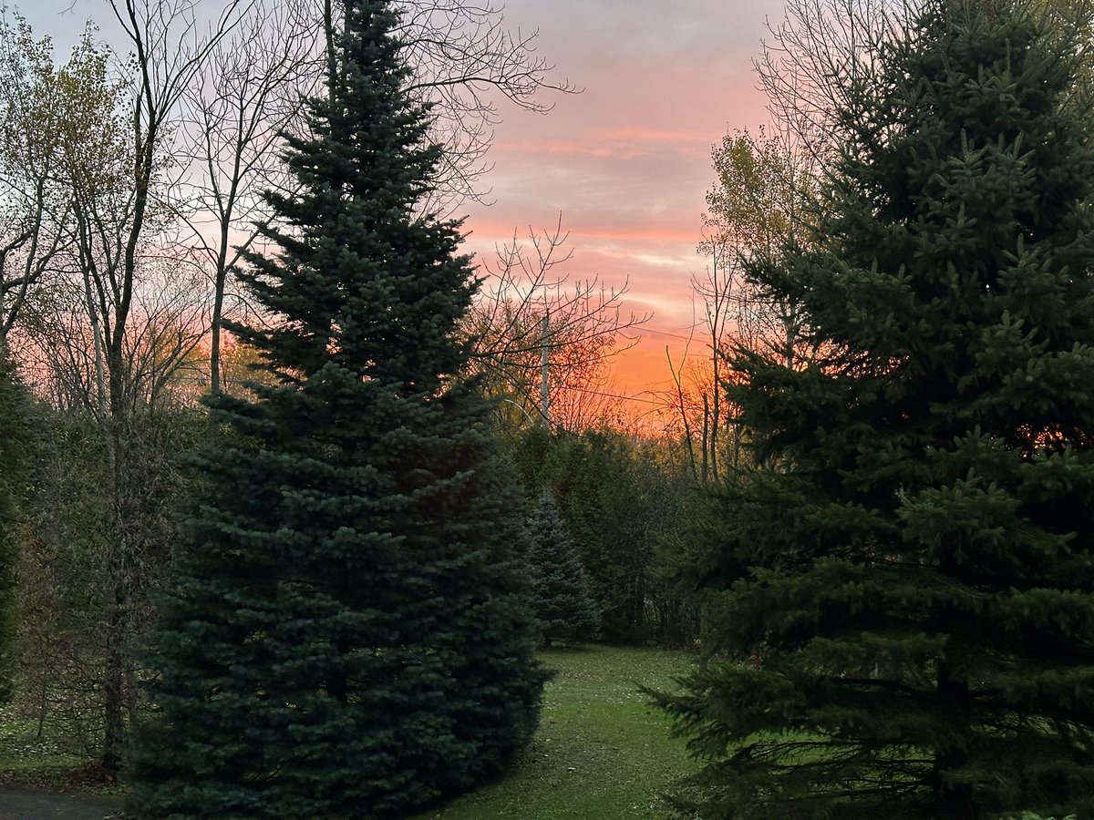 lifeinaloghome's tweet photo. Good morning https://t.co/9NWLxHRvZF